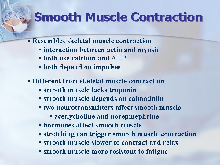 Smooth Muscle Contraction • Resembles skeletal muscle contraction • interaction between actin and myosin