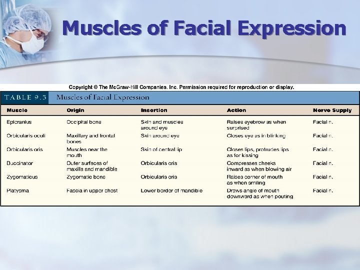 Muscles of Facial Expression 