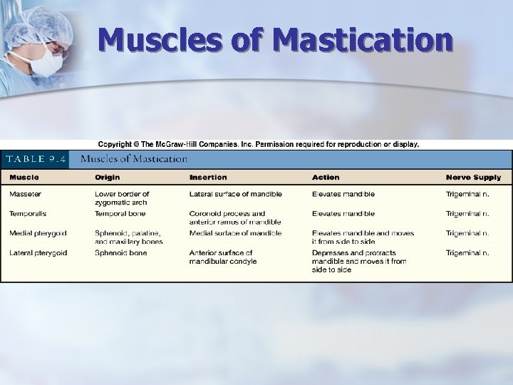 Muscles of Mastication 