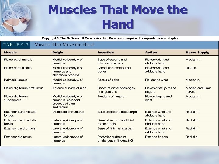 Muscles That Move the Hand 