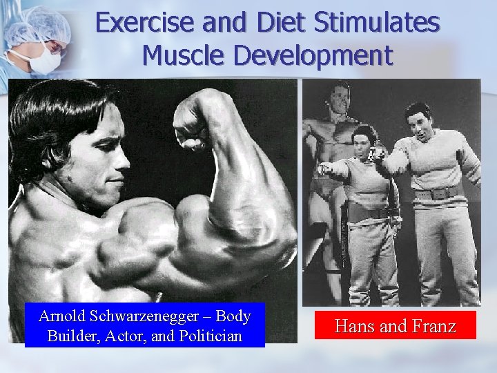 Exercise and Diet Stimulates Muscle Development Arnold Schwarzenegger – Body Builder, Actor, and Politician