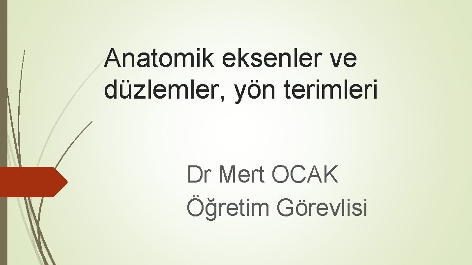 Anatomik eksenler ve düzlemler, yön terimleri Dr Mert OCAK Öğretim Görevlisi Anatomik eksenler ve düzlemler, yön terimleri Dr Mert OCAK Öğretim Görevlisi