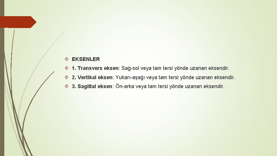 EKSENLER 1. Transvers eksen: Sağ-sol veya tam tersi yönde uzanan eksendir. 2. Vertikal EKSENLER 1. Transvers eksen: Sağ-sol veya tam tersi yönde uzanan eksendir. 2. Vertikal
