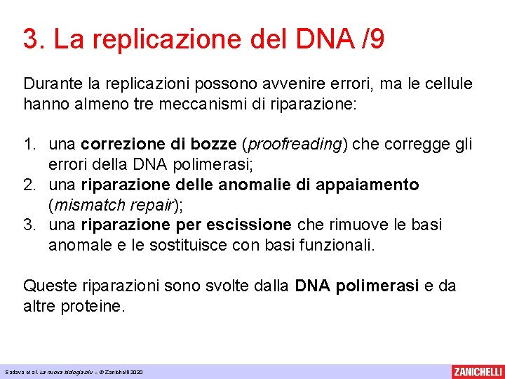 3. La replicazione del DNA /9 Durante la replicazioni possono avvenire errori, ma le