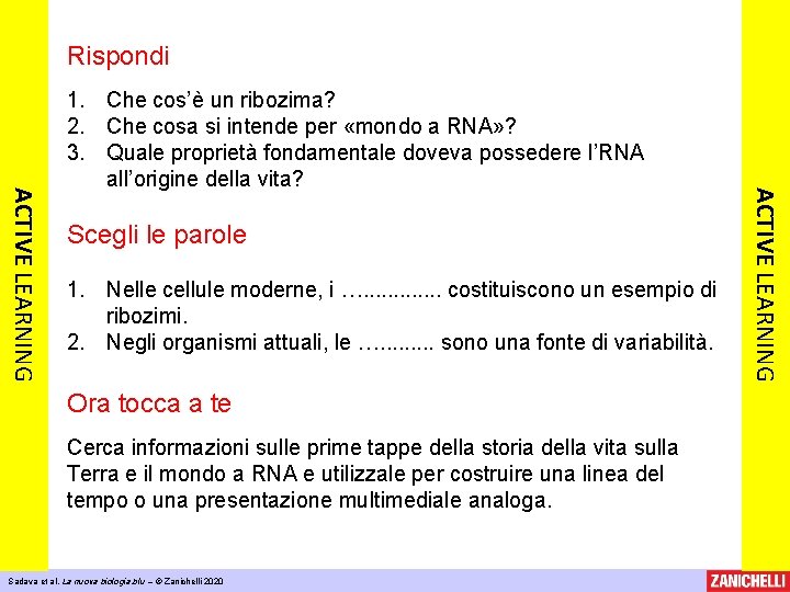 Rispondi Scegli le parole 1. Nelle cellule moderne, i …. . . costituiscono un