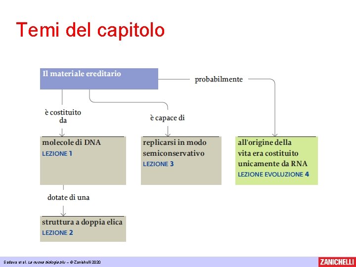 Temi del capitolo Sadava et al, La nuova biologia. blu – © Zanichelli 2020