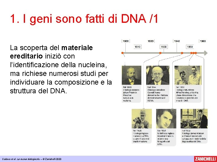 1. I geni sono fatti di DNA /1 La scoperta del materiale ereditario iniziò