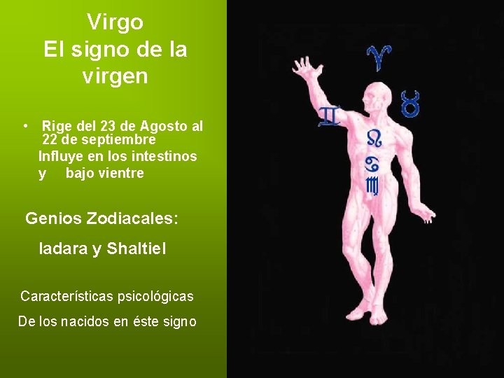 Virgo El signo de la virgen • Rige del 23 de Agosto al 22
