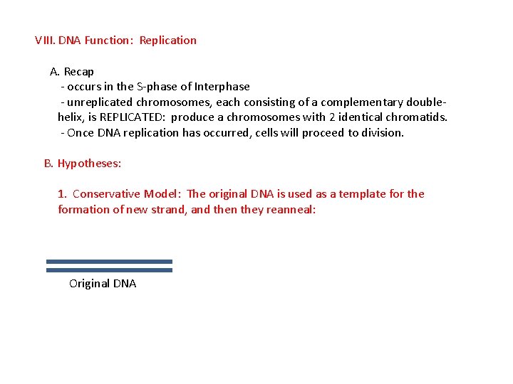 VIII. DNA Function: Replication A. Recap - occurs in the S-phase of Interphase -