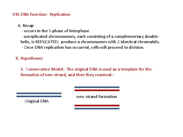 VIII. DNA Function: Replication A. Recap - occurs in the S-phase of Interphase -