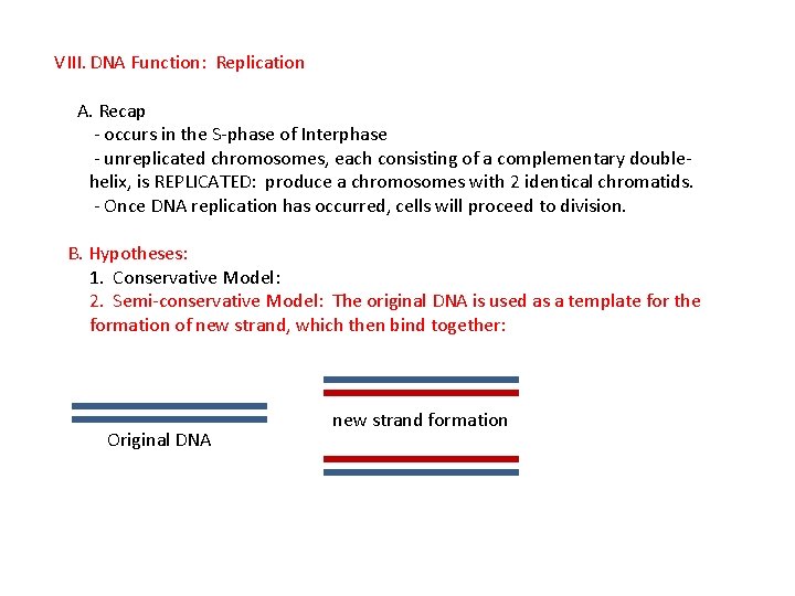 VIII. DNA Function: Replication A. Recap - occurs in the S-phase of Interphase -