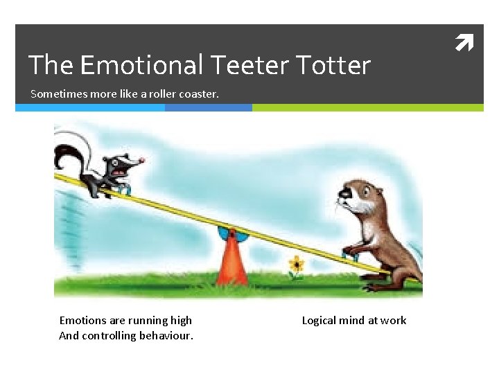 The Emotional Teeter Totter Sometimes more like a roller coaster. Emotions are running high