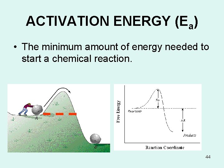 ACTIVATION ENERGY (Ea) • The minimum amount of energy needed to start a chemical