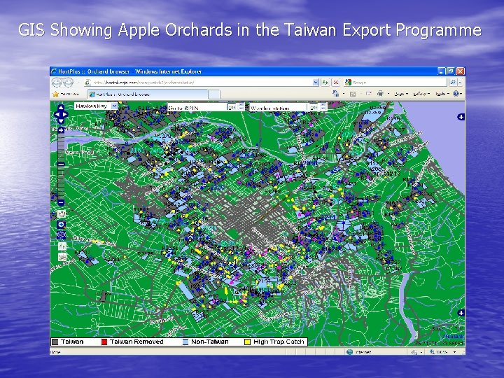 GIS Showing Apple Orchards in the Taiwan Export Programme 
