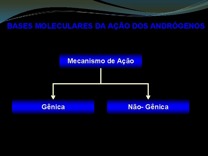 BASES MOLECULARES DA AÇÃO DOS ANDRÓGENOS Mecanismo de Ação Gênica Não- Gênica 