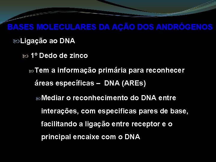 BASES MOLECULARES DA AÇÃO DOS ANDRÓGENOS Ligação ao DNA 1º Dedo de zinco Tem