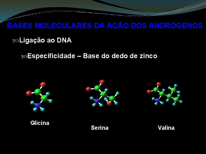 BASES MOLECULARES DA AÇÃO DOS ANDRÓGENOS Ligação ao DNA Especificidade – Base do de