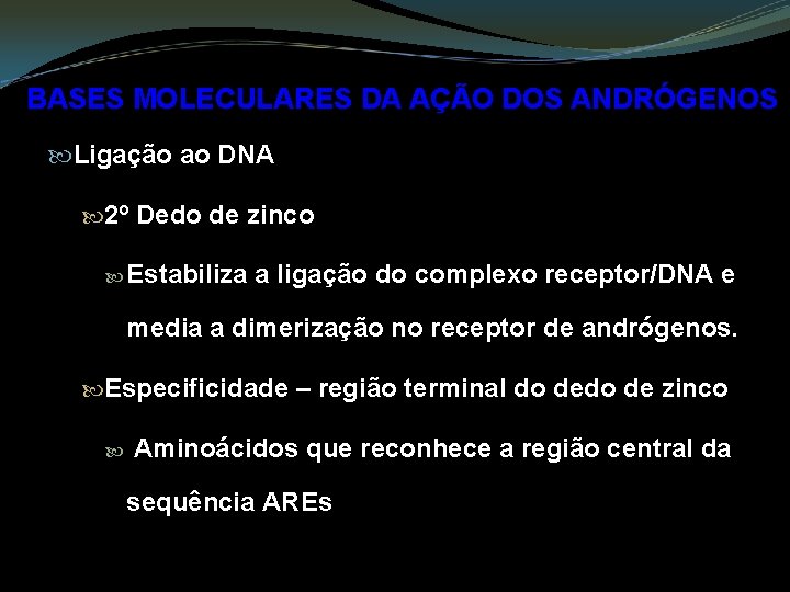 BASES MOLECULARES DA AÇÃO DOS ANDRÓGENOS Ligação ao DNA 2º Dedo de zinco Estabiliza