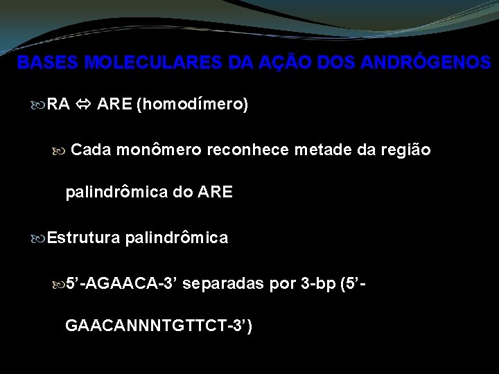 BASES MOLECULARES DA AÇÃO DOS ANDRÓGENOS RA ARE (homodímero) Cada monômero reconhece metade da