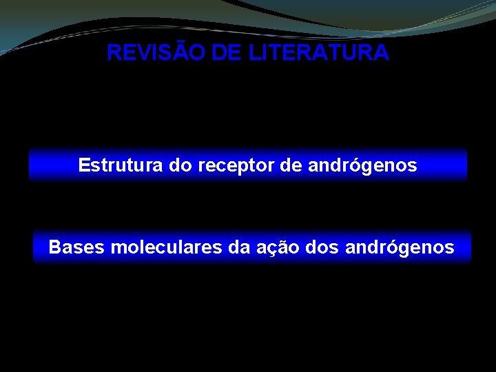 REVISÃO DE LITERATURA Estrutura do receptor de andrógenos Bases moleculares da ação dos andrógenos