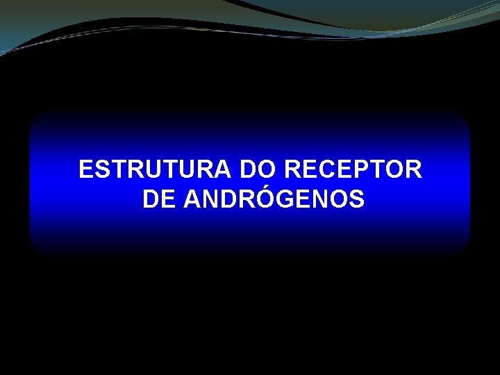 ESTRUTURA DO RECEPTOR DE ANDRÓGENOS 