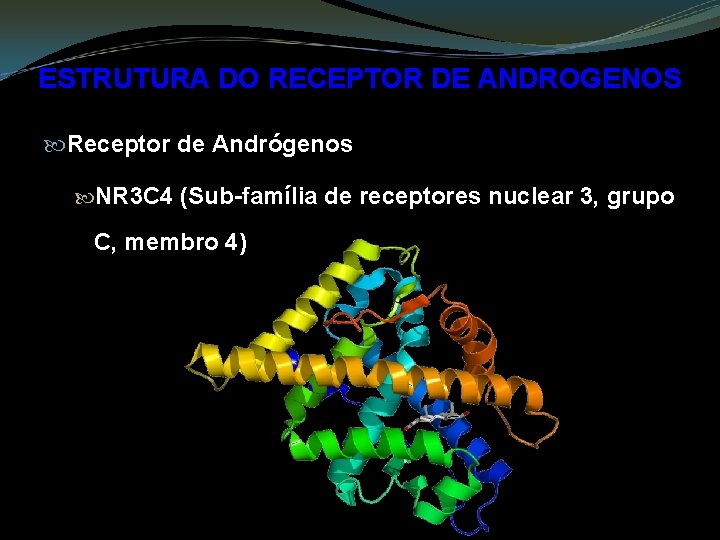ESTRUTURA DO RECEPTOR DE ANDROGENOS Receptor de Andrógenos NR 3 C 4 (Sub-família de