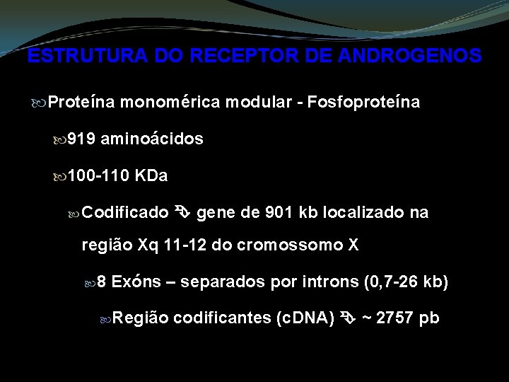 ESTRUTURA DO RECEPTOR DE ANDROGENOS Proteína monomérica modular - Fosfoproteína 919 aminoácidos 100 -110