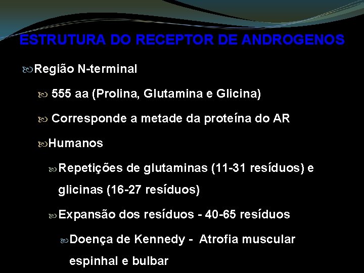 ESTRUTURA DO RECEPTOR DE ANDROGENOS Região N-terminal 555 aa (Prolina, Glutamina e Glicina) Corresponde