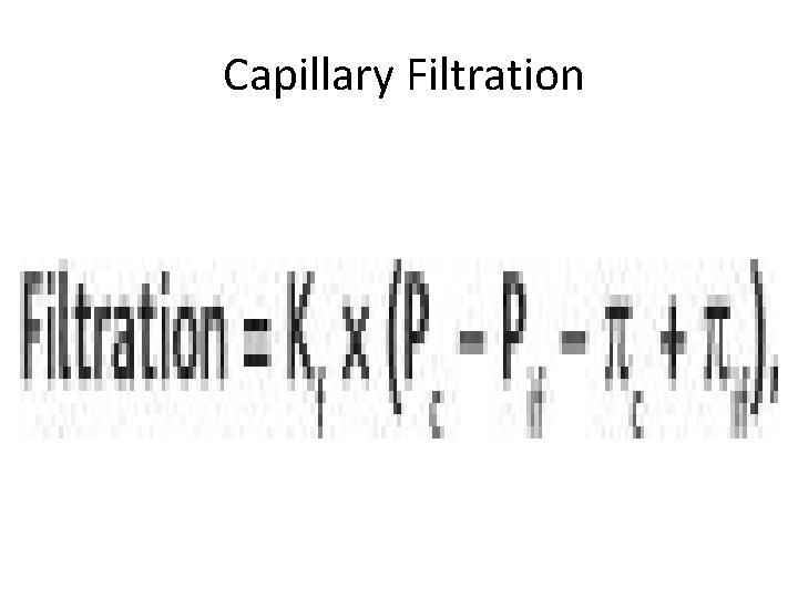 Capillary Filtration 