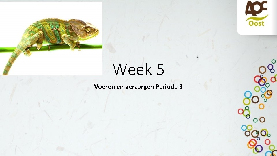 Week 5 Voeren en verzorgen Periode 3 