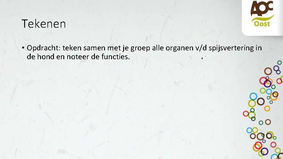 Tekenen • Opdracht: teken samen met je groep alle organen v/d spijsvertering in de