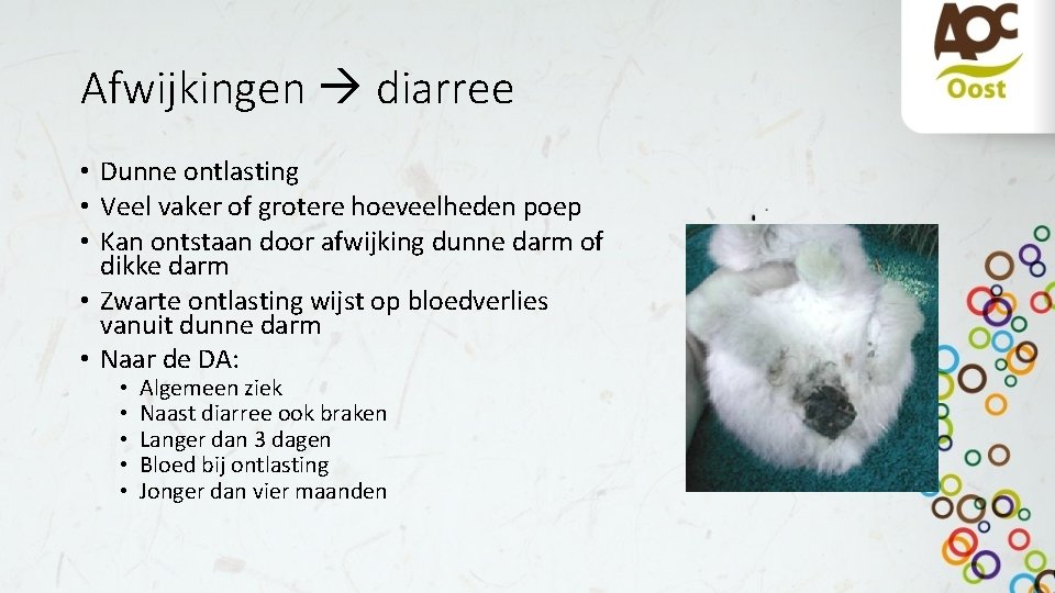 Afwijkingen diarree • Dunne ontlasting • Veel vaker of grotere hoeveelheden poep • Kan Afwijkingen diarree • Dunne ontlasting • Veel vaker of grotere hoeveelheden poep • Kan