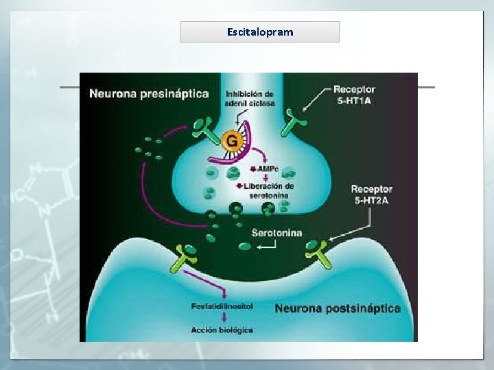 Escitalopram 