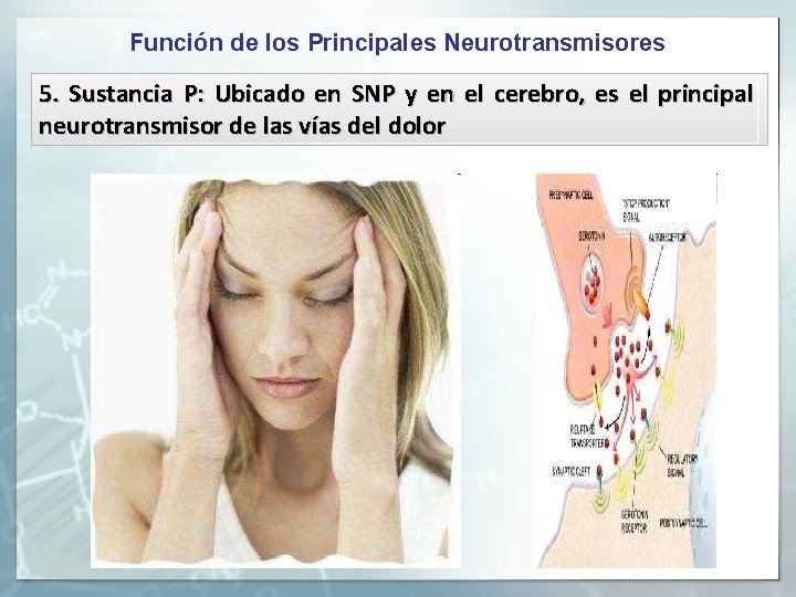 Función de los Principales Neurotransmisores 5. Sustancia P: Ubicado en SNP y en el