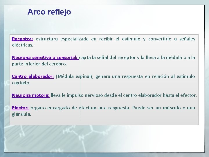 Arco reflejo Receptor: estructura especializada en recibir el estímulo y convertirlo a señales eléctricas.