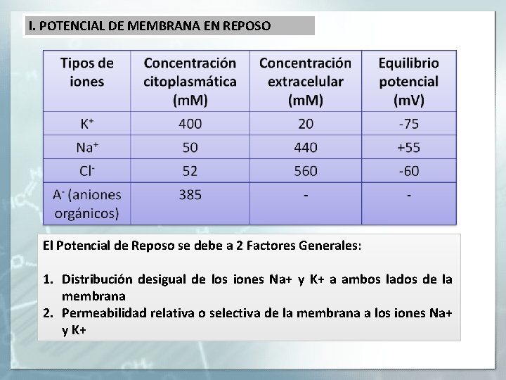 I. POTENCIAL DE MEMBRANA EN REPOSO El Potencial de Reposo se debe a 2