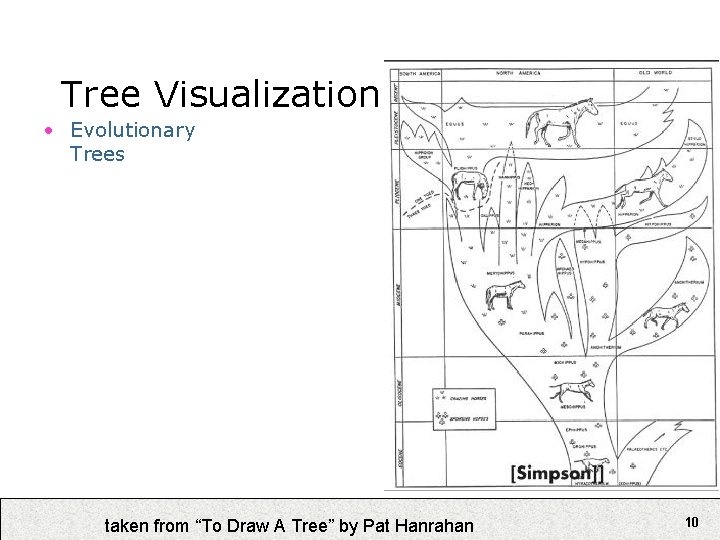 Tree Visualization • Evolutionary Trees taken from “To Draw A Tree” by Pat Hanrahan