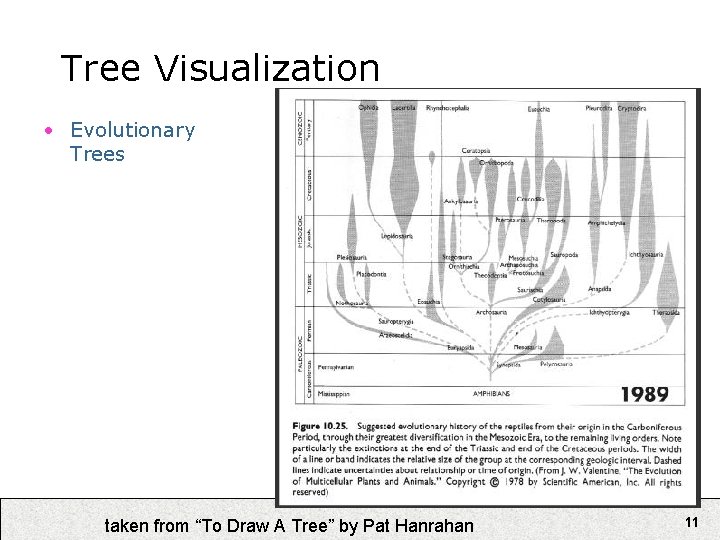 Tree Visualization • Evolutionary Trees taken from “To Draw A Tree” by Pat Hanrahan