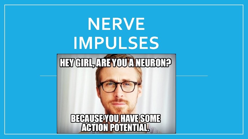 NERVE IMPULSES 