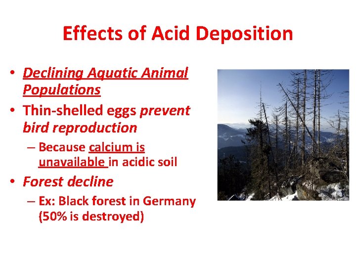 Effects of Acid Deposition • Declining Aquatic Animal Populations • Thin-shelled eggs prevent bird