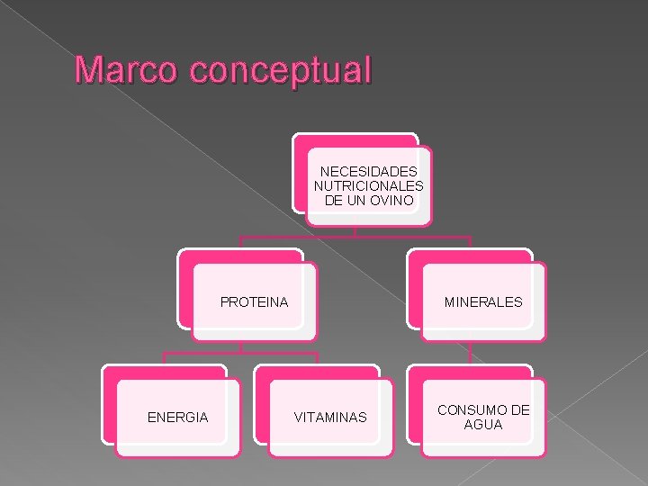 Marco conceptual NECESIDADES NUTRICIONALES DE UN OVINO PROTEINA ENERGIA MINERALES VITAMINAS CONSUMO DE AGUA