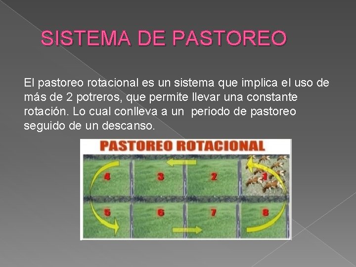 SISTEMA DE PASTOREO El pastoreo rotacional es un sistema que implica el uso de