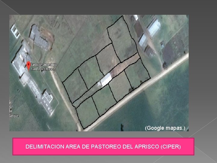 (Google mapas. ) DELIMITACION AREA DE PASTOREO DEL APRISCO (CIPER) 