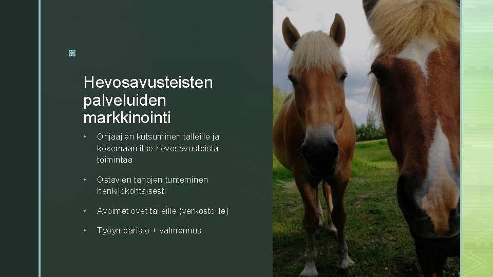 z Hevosavusteisten palveluiden markkinointi • Ohjaajien kutsuminen talleille ja kokemaan itse hevosavusteista toimintaa • z Hevosavusteisten palveluiden markkinointi • Ohjaajien kutsuminen talleille ja kokemaan itse hevosavusteista toimintaa •