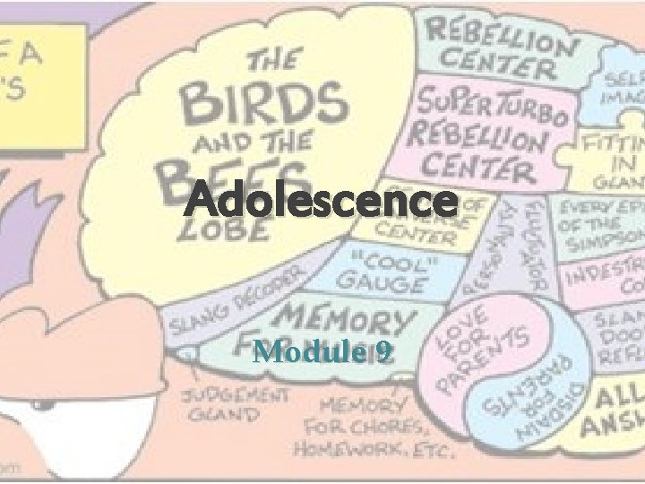 Adolescence Module 9 