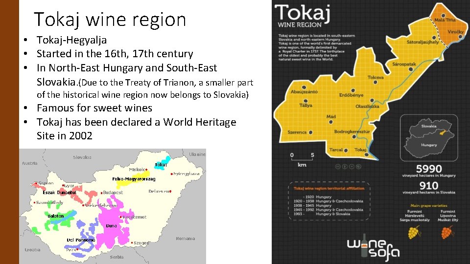 Tokaj wine region • Tokaj-Hegyalja • Started in the 16 th, 17 th century