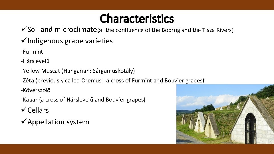 Characteristics üSoil and microclimate(at the confluence of the Bodrog and the Tisza Rivers) üIndigenous