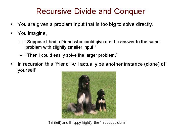 Recursive Divide and Conquer • You are given a problem input that is too