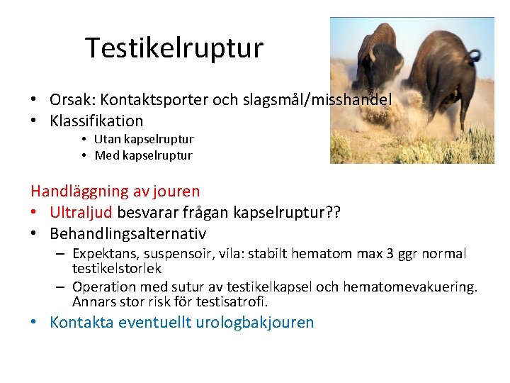 Testikelruptur • Orsak: Kontaktsporter och slagsmål/misshandel • Klassifikation • Utan kapselruptur • Med kapselruptur