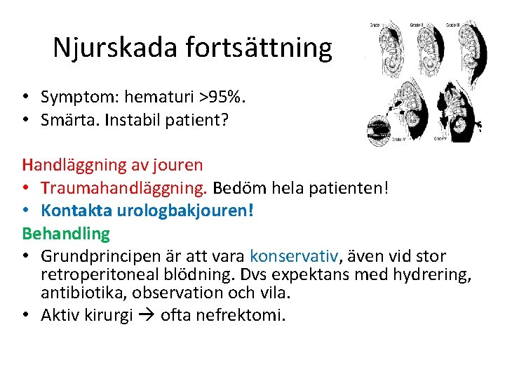 Njurskada fortsättning • Symptom: hematuri >95%. • Smärta. Instabil patient? Handläggning av jouren •